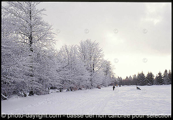 sport - ski de fond